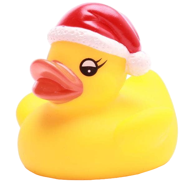 Little Christmas Duck