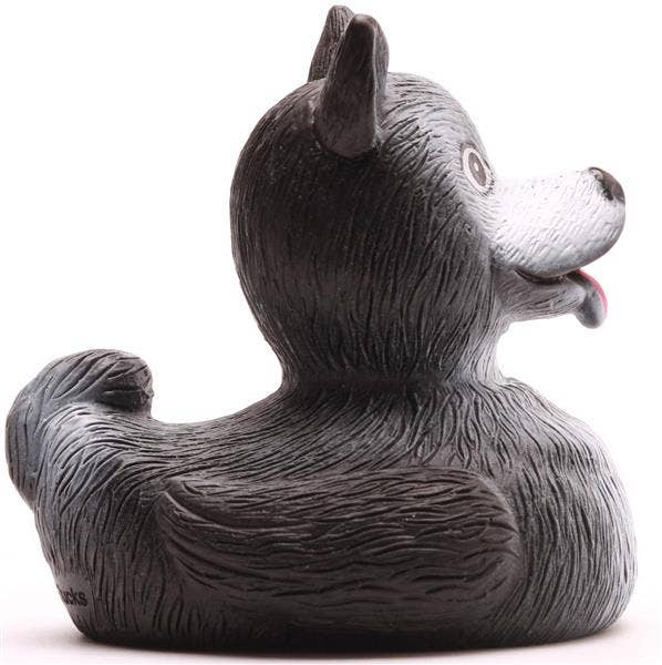 Husky Duck