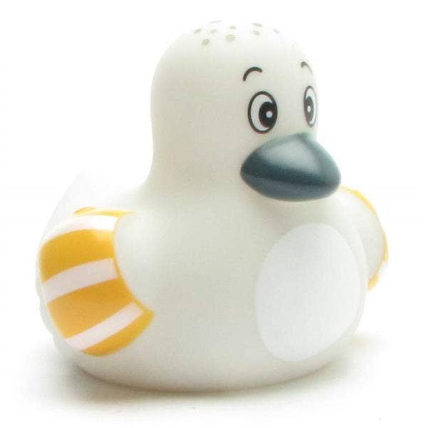 Baby Seagull