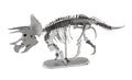 Triceratops-Skelett