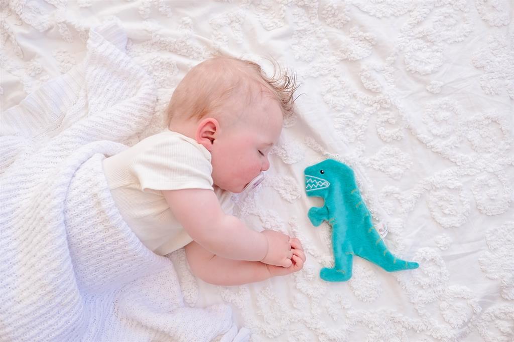 Knistertier Kuscheltier Dinosaurier T-Rex