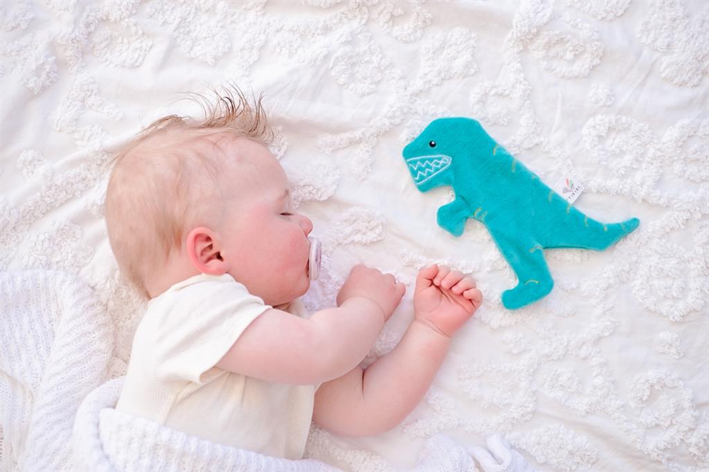 Knistertier Kuscheltier Dinosaurier T-Rex