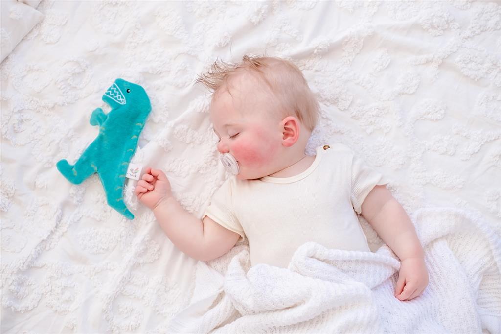 Knistertier Kuscheltier Dinosaurier T-Rex