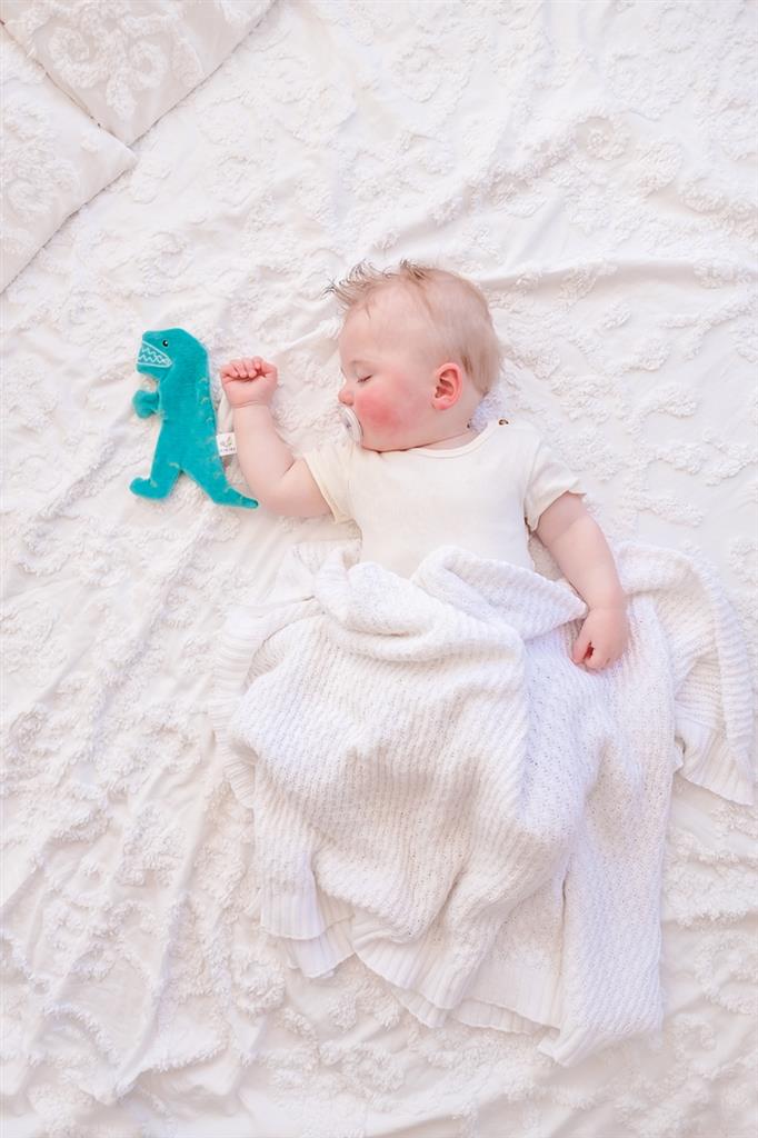 Knistertier Kuscheltier Dinosaurier T-Rex