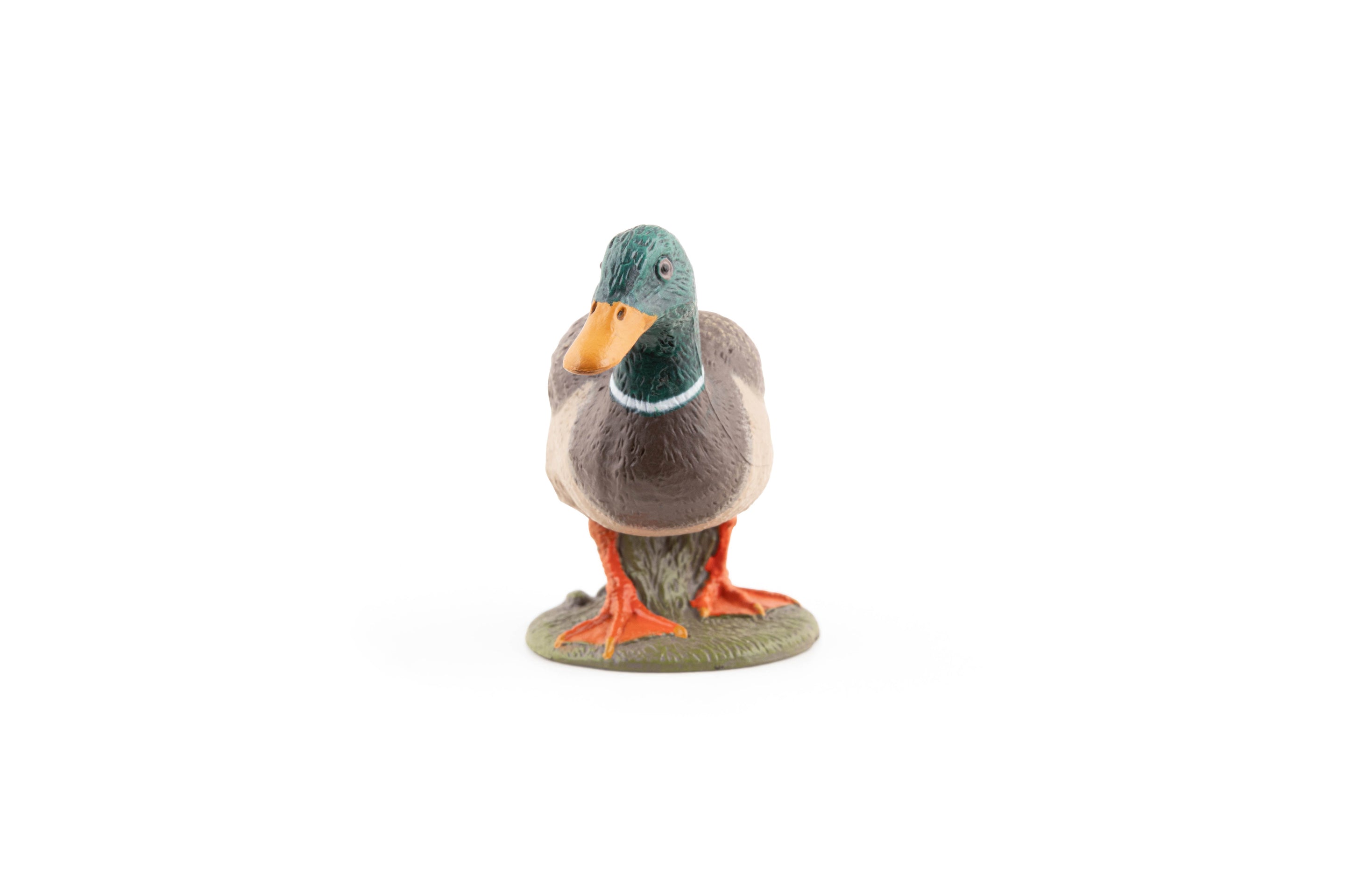 Figurine Canard colvert Papo - animal de la ferme