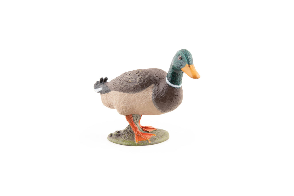 Figurine Canard colvert Papo - animal de la ferme