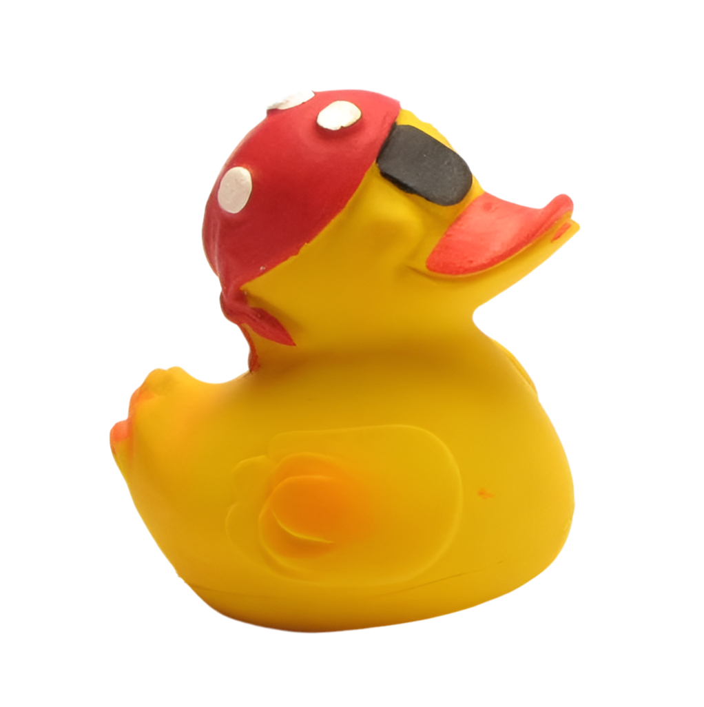 Canard Pirate