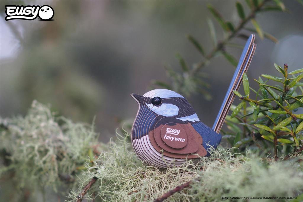 EUGY 3D - Mérion Superbe