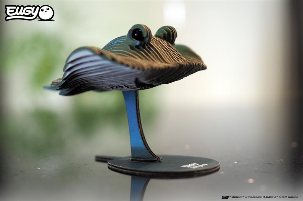 EUGY 3D - Raie