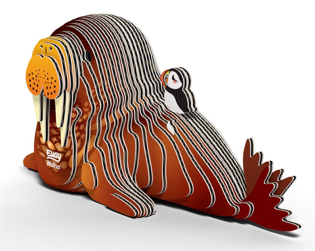 EUGY 3D - Morse