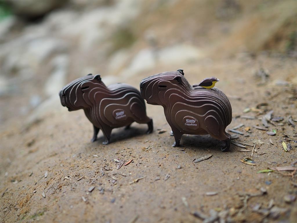 EUGY 3D - Capybara