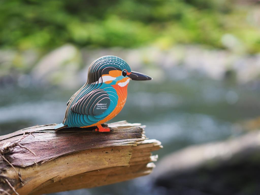 EUGY 3D - Martin-Pêcheur