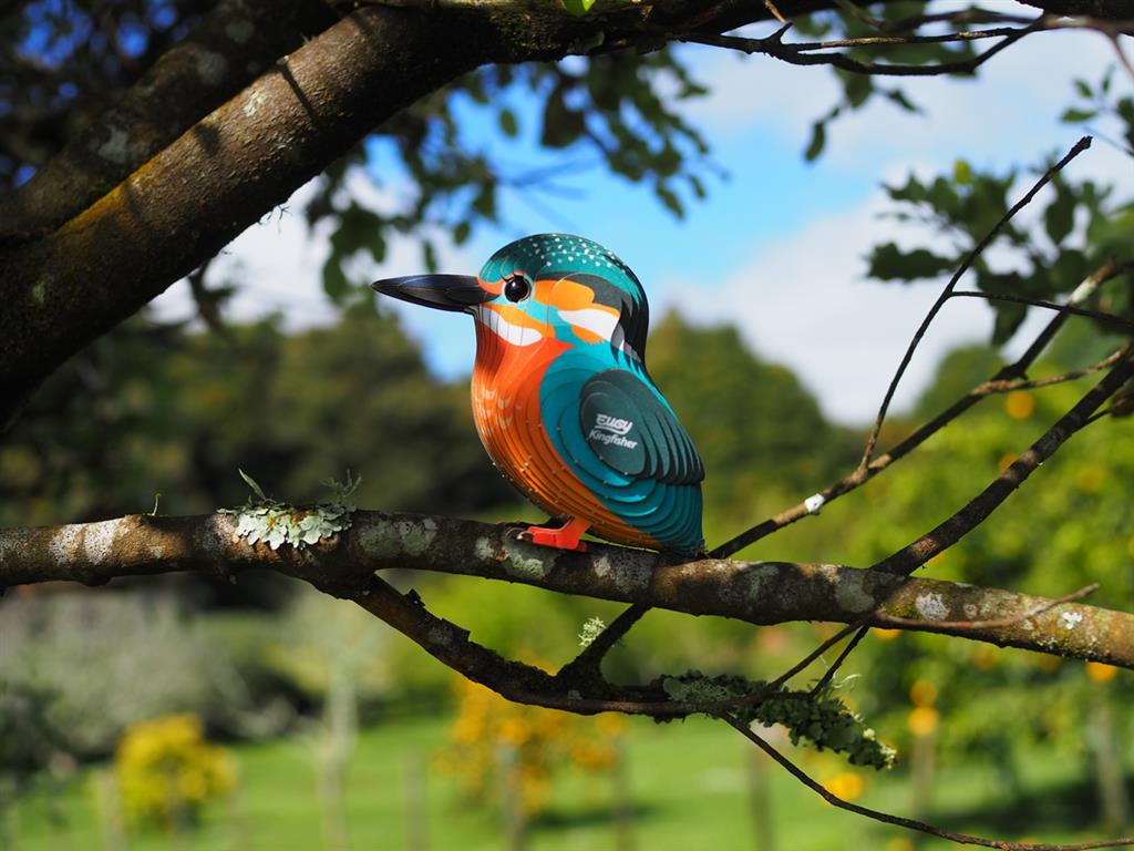 EUGY 3D - Martin-Pêcheur