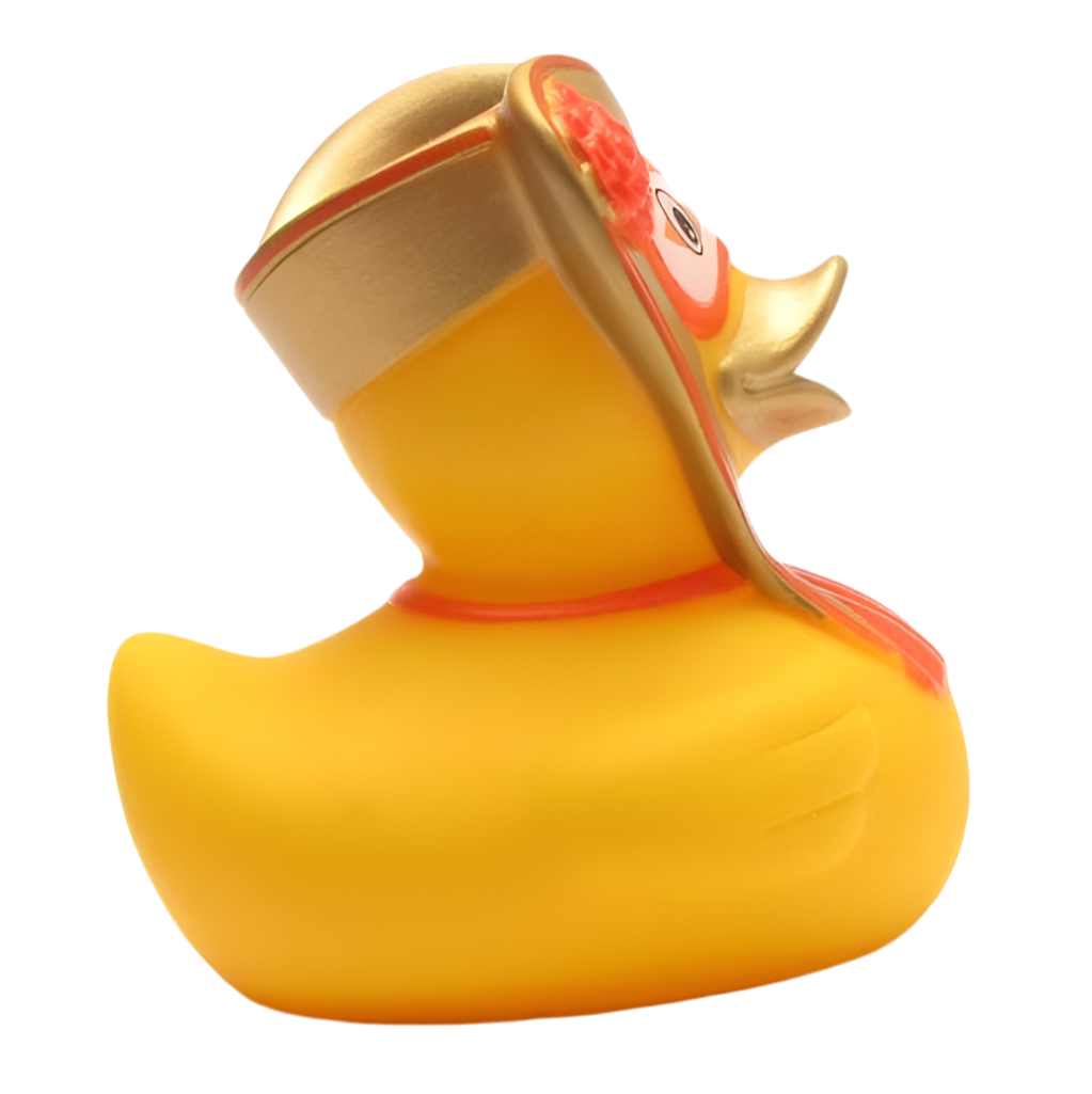 Canard Carnaval de Venise Homme