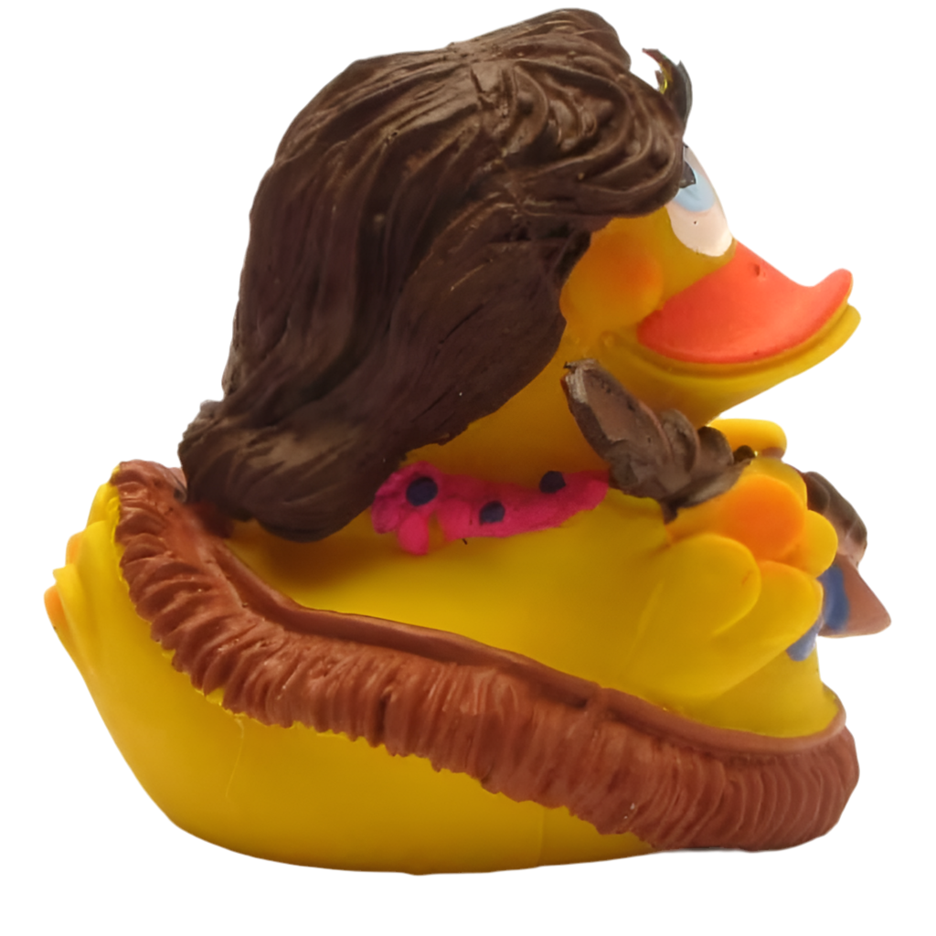 Hawaiian Duck