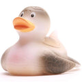 Canard tortue de mer