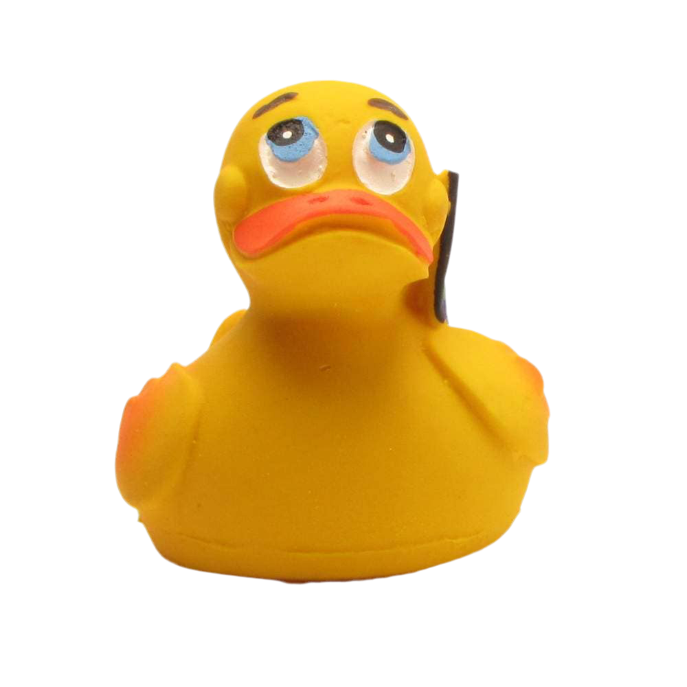 Duck Pride
