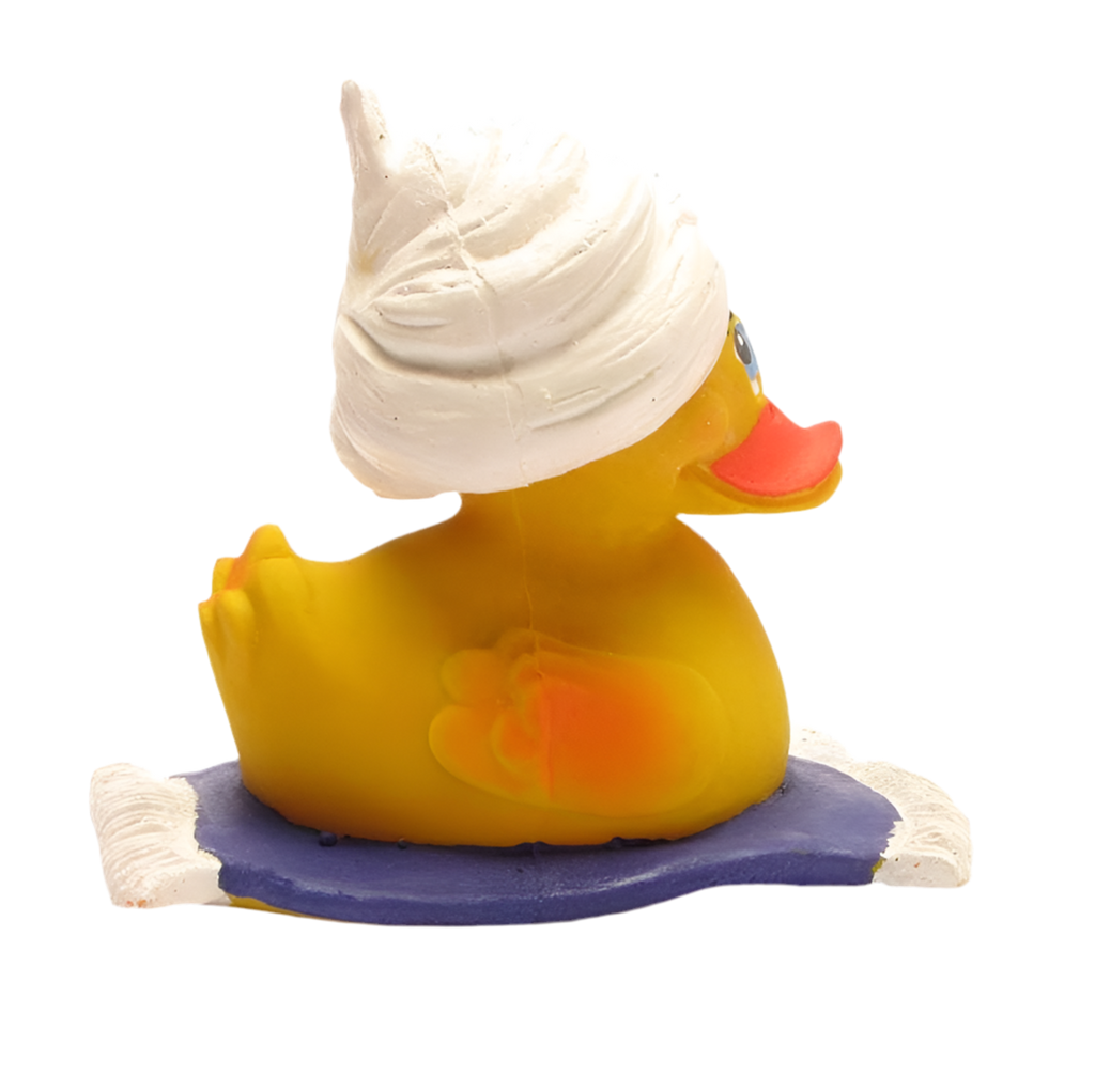 Canard Alibaba