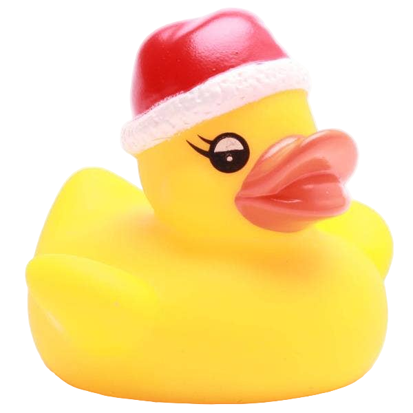 Little Christmas Duck