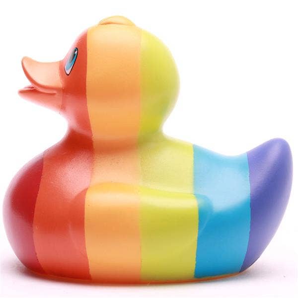 Canard Arc-en-ciel