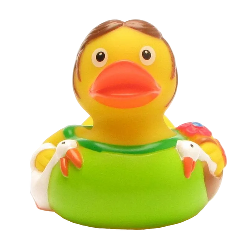 Enten-Lison mit Gänsen