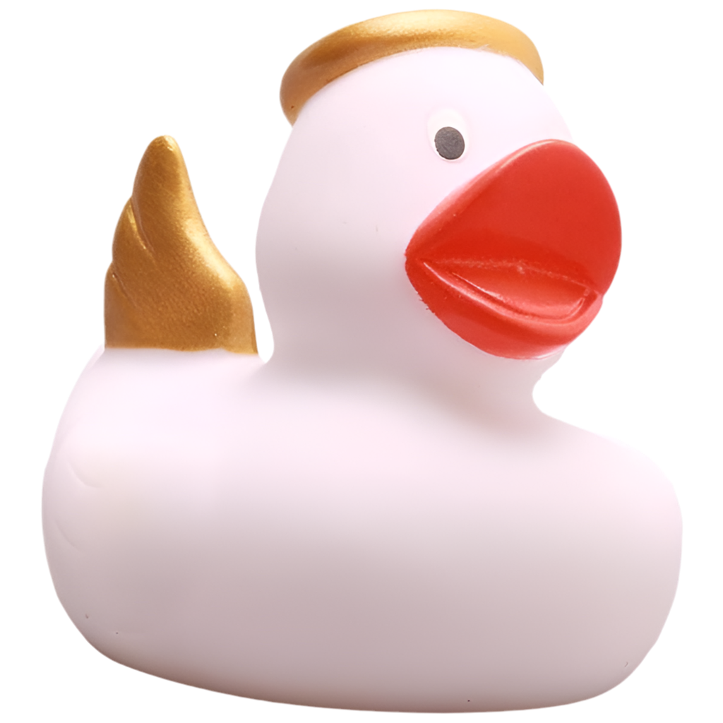 canard ange blanc