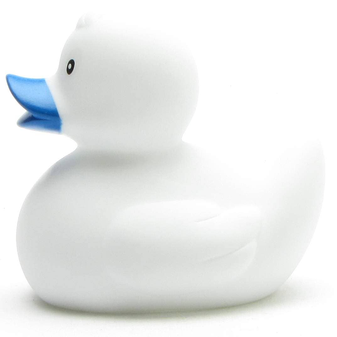 Canard Classique Blanc