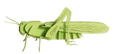 Modèle En Papier 3D - Sauterelle