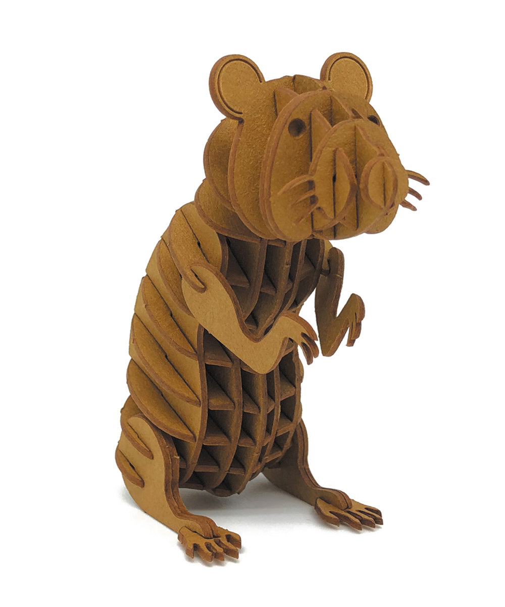 Modèle En Papier 3D - Hamster