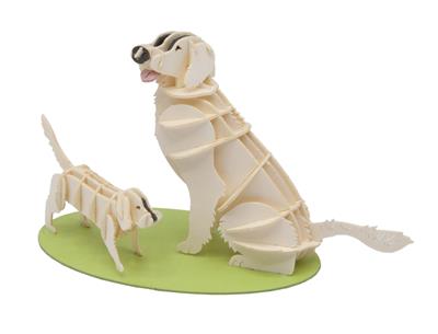 Modèle En Papier 3D - Golden Retriever