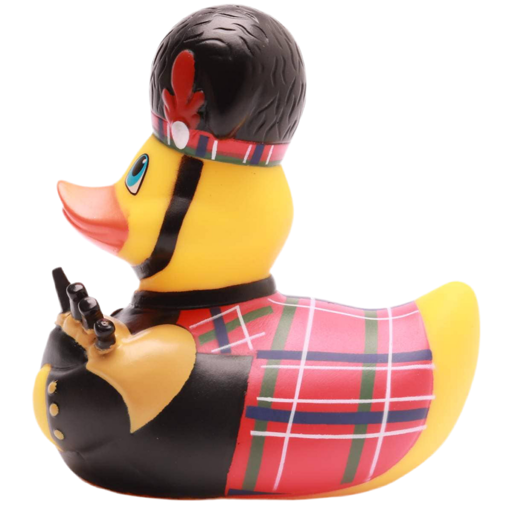 Canard Écossais