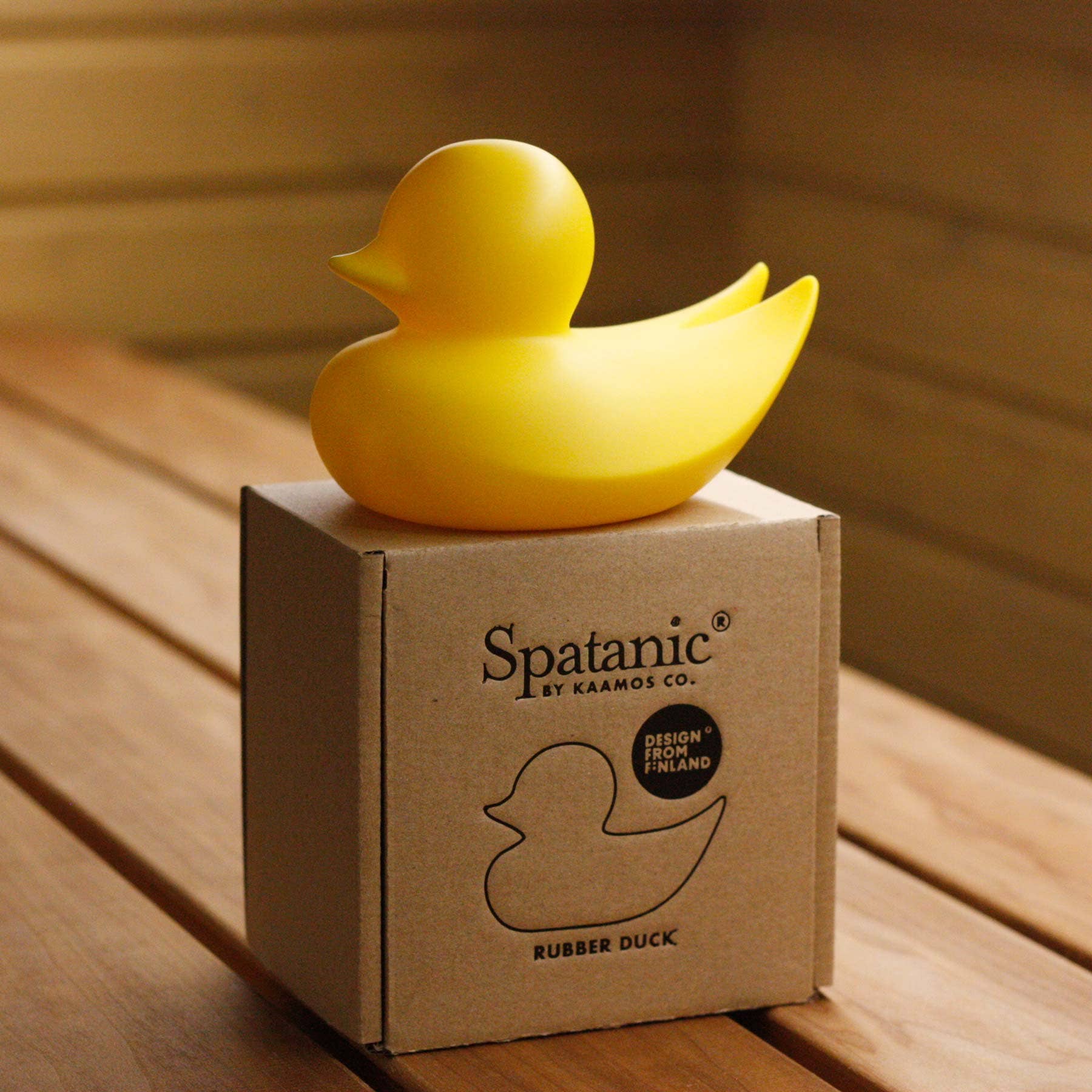 Canard Minimaliste