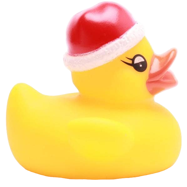 Little Christmas Duck