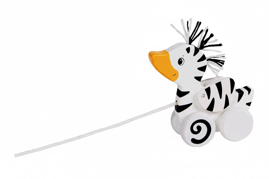 Animal à tirer - Canard Zèbre