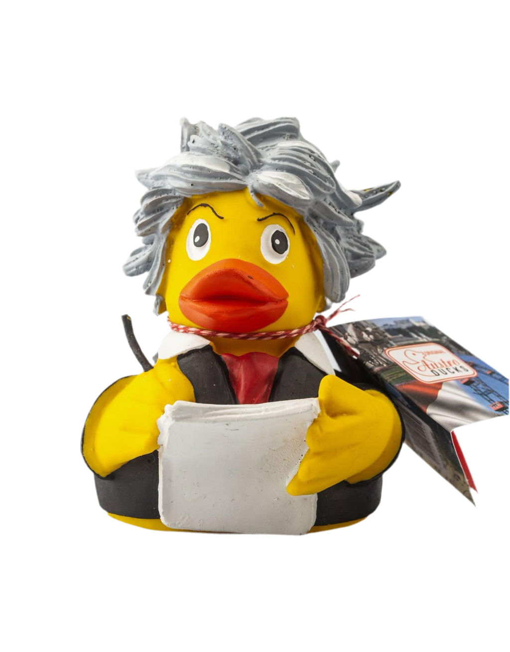 canard-beethoven-austroducks