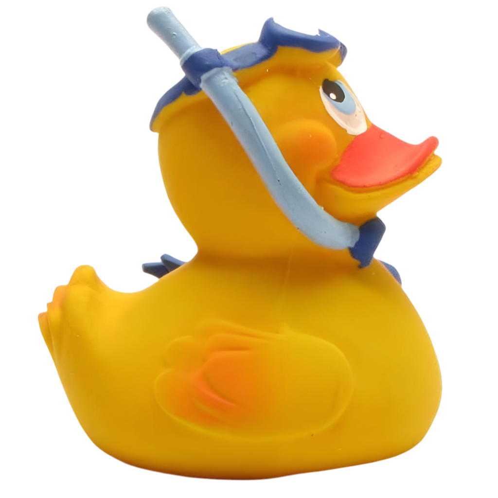 Snorkeling Duck