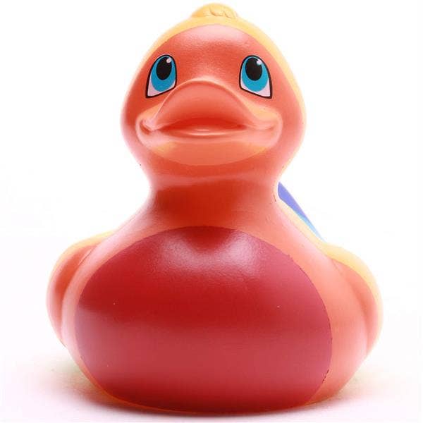 Canard Arc-en-ciel