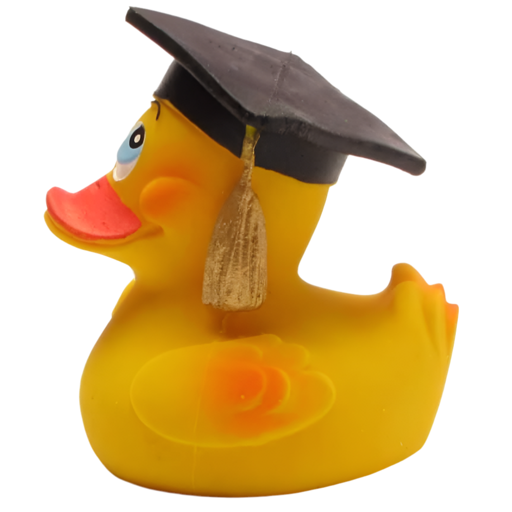 Ente Absolvent