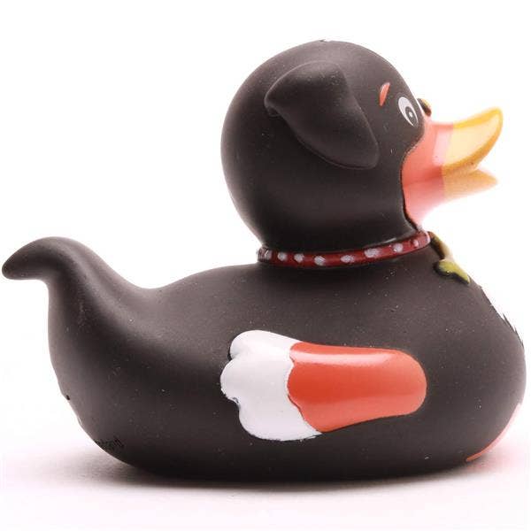 Canard Chien