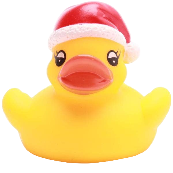 Little Christmas Duck