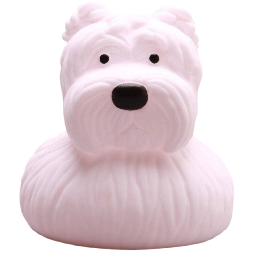 Scottish Duck Terrier