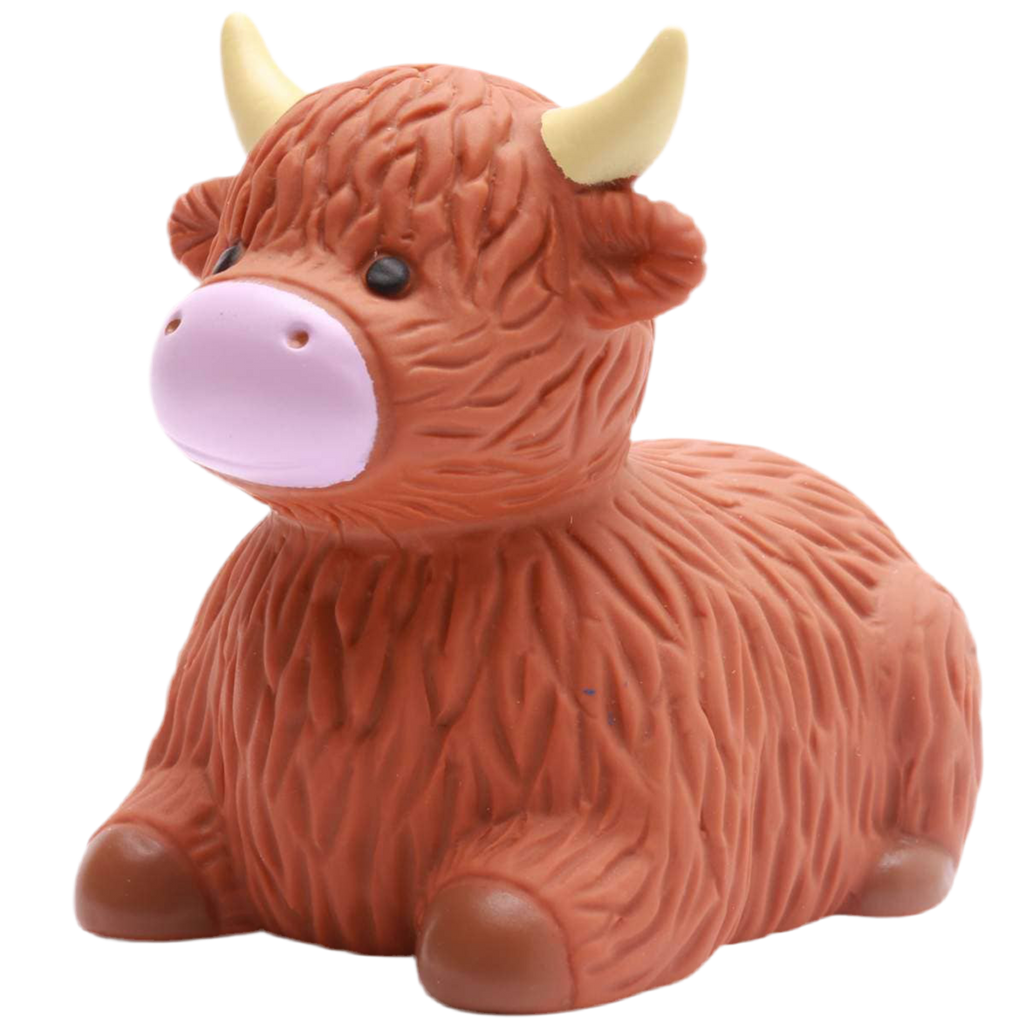 Vache des Highlands de Bain