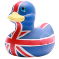 Canard Union Jack