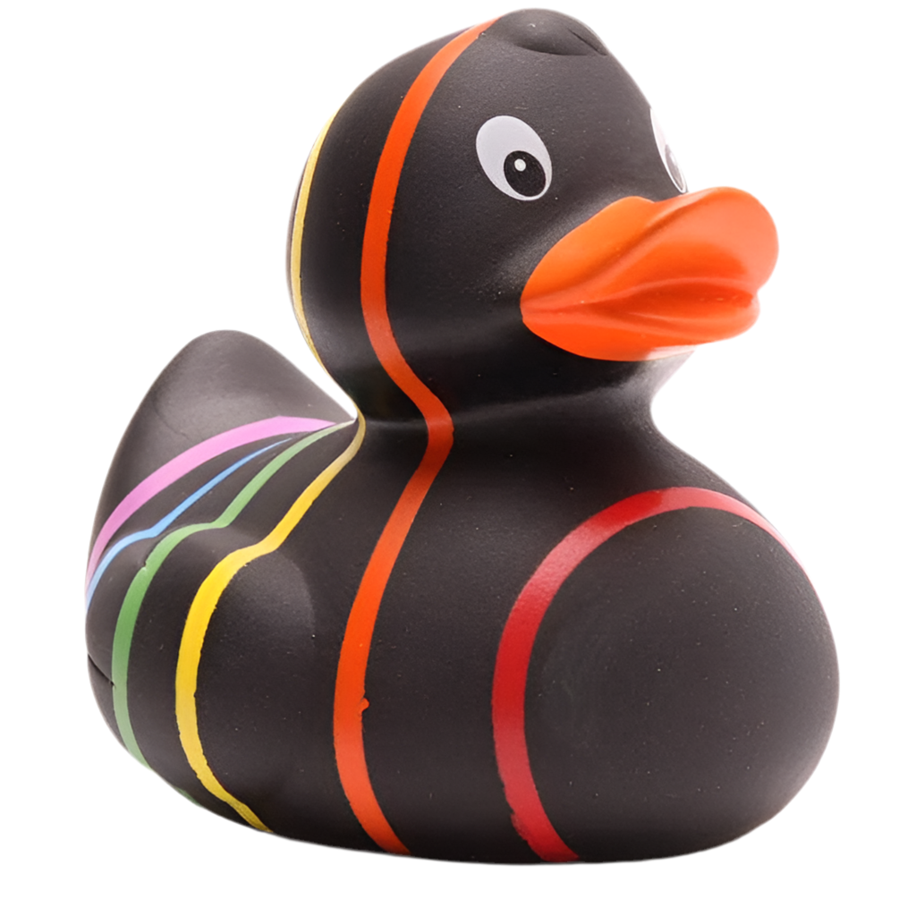 Classic Black Rainbow Duck