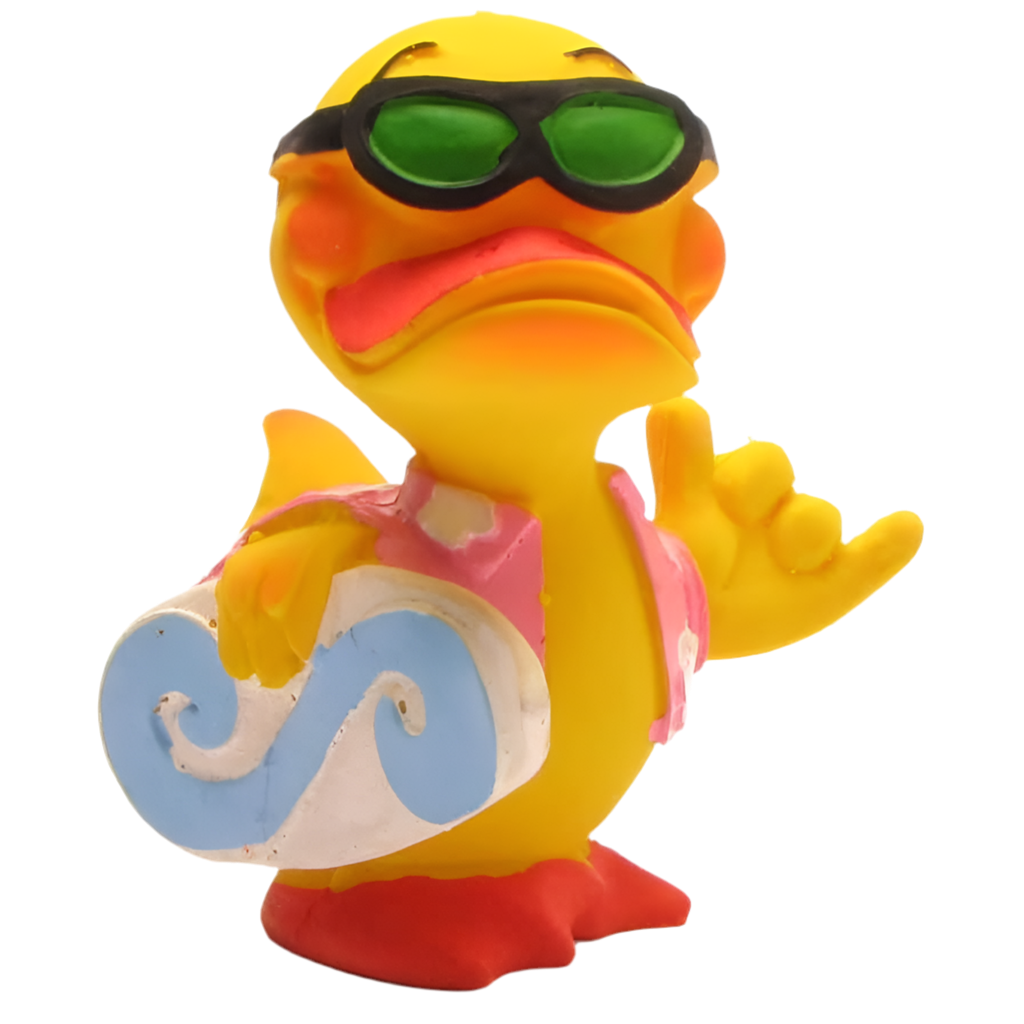 Surfer Duck