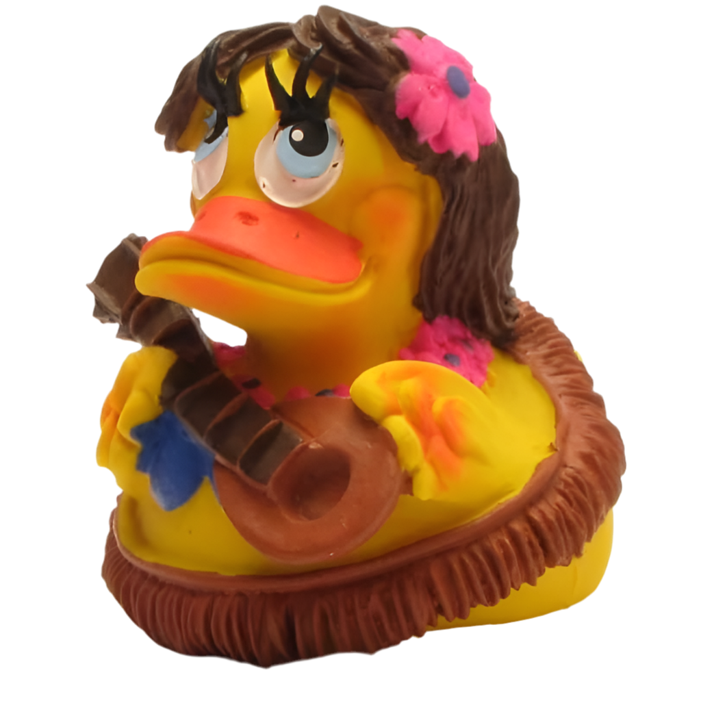 Hawaiian Duck