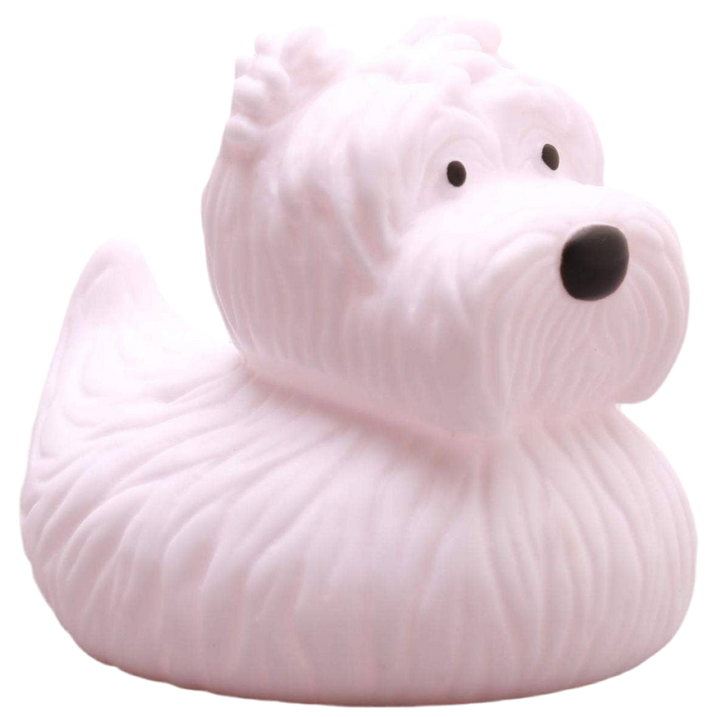 Scottish Duck Terrier