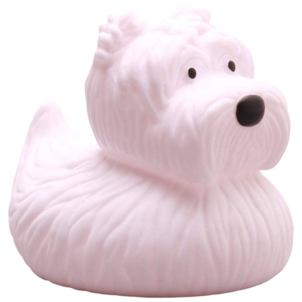 Scottish Duck Terrier