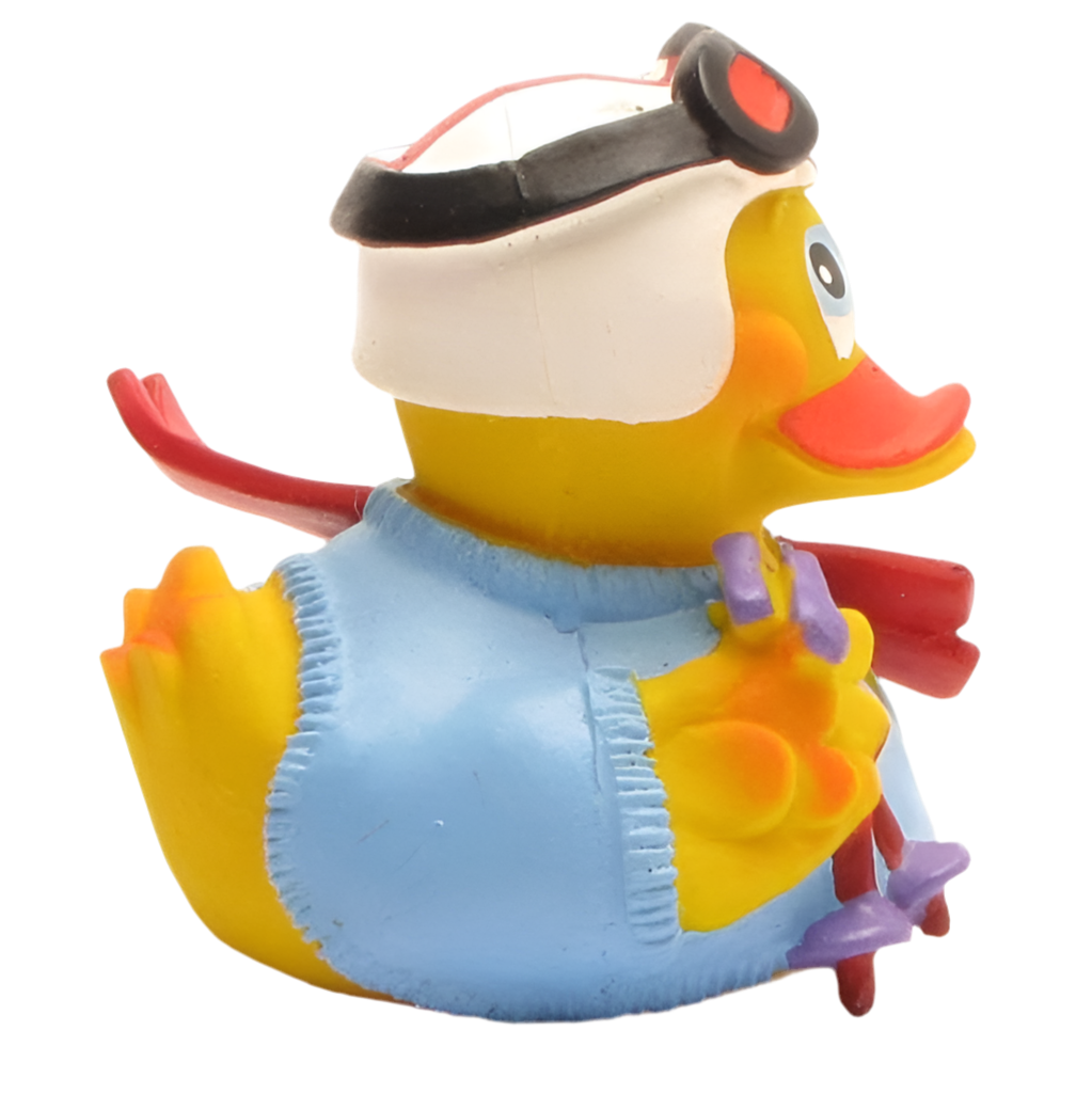 Skiing Duck
