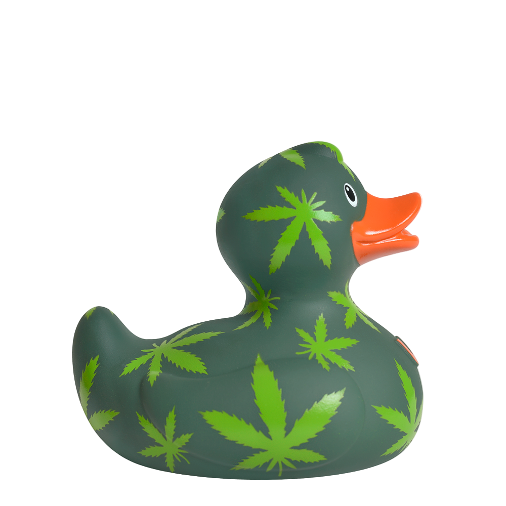 Cannabis eend